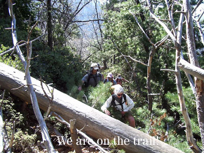 We are on the trail climbing Homers Nose.